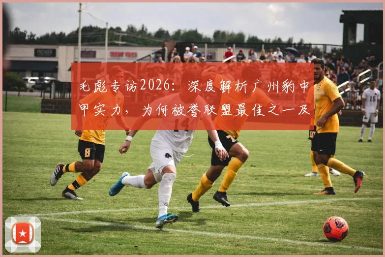毛彪专访2026：深度解析广州豹中甲实力，为何被誉联盟最佳之一及比赛不确定性探讨